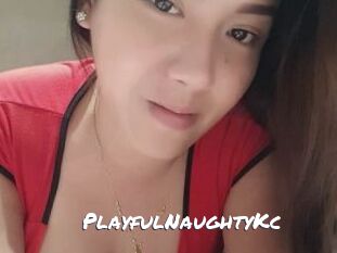 PlayfulNaughtyKc