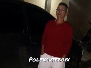 Polexcuteboyx