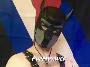 PupMischief