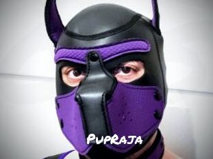 PupRaja