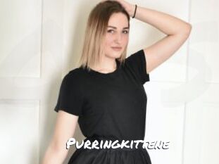 Purringkittene
