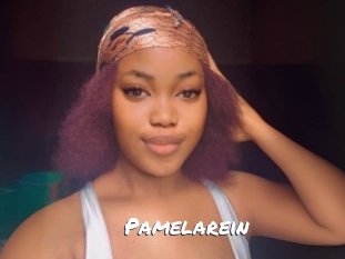 Pamelarein