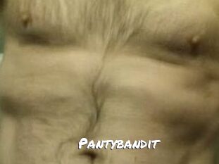 Pantybandit