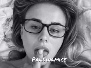 Paulinamice