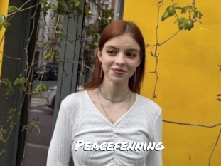 Peacefenning