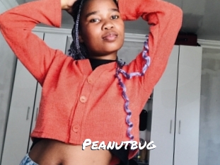 Peanutbug