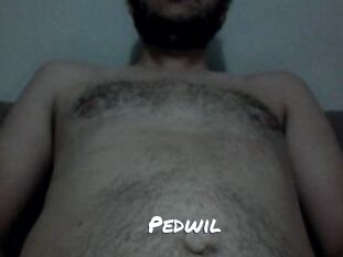 Pedwil