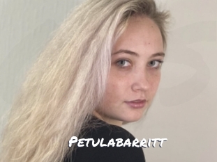 Petulabarritt