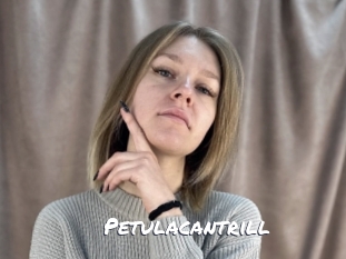 petulacantrill Ochranne Siete