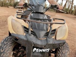 Pewnis