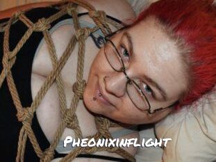 Pheonixinflight