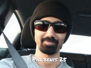 Pig_benis_25