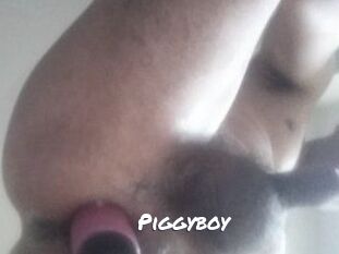 Piggyboy