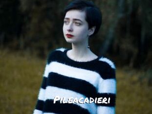 Pileacadieri