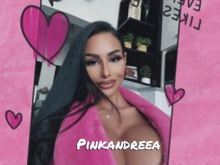 pinkandreea Ochranne Siete