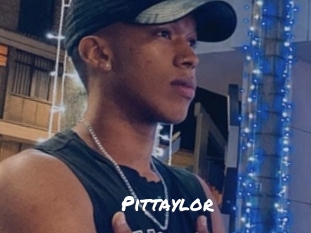 pittaylor Ochranne Siete