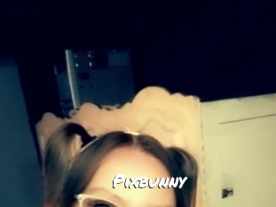 Pixbunny
