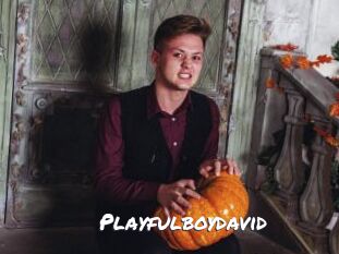 Playfulboydavid