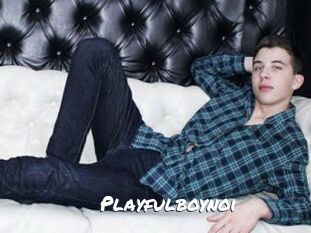 Playfulboynoi