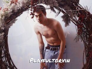 Playfultorvin