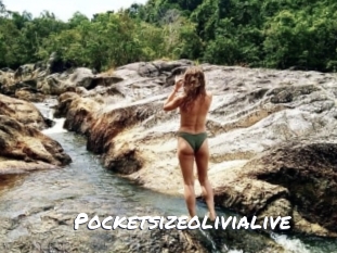 Pocketsizeolivialive
