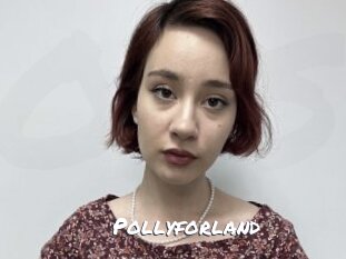 Pollyforland