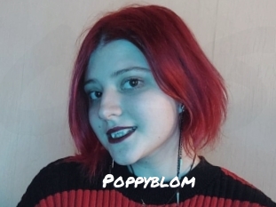 Poppyblom