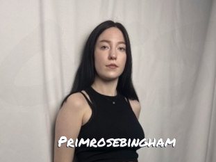 primrosebingham Ochranne Siete