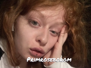 Primroseborom