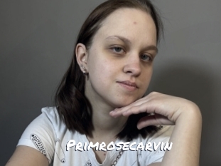 Primrosecarvin