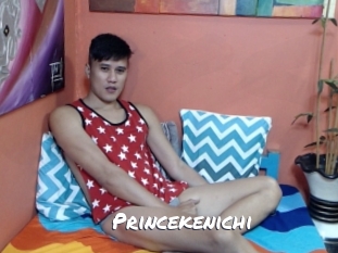 princekenichi Ochranne Siete