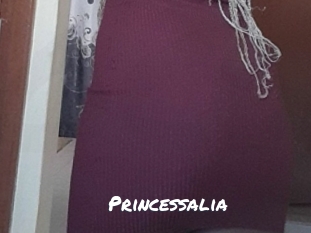 princessalia Ochranne Siete