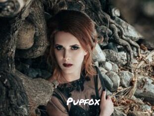 Pupfox