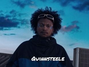 quinnsteele Ochranne Siete