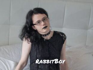 RabbitBoy