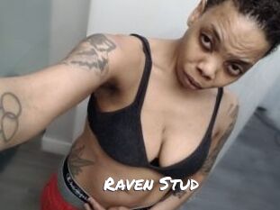 Raven_Stud
