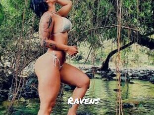 Ravens