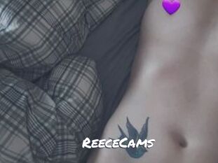 ReeceCams