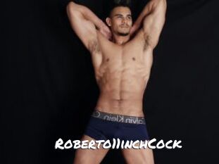 Roberto11inchCock