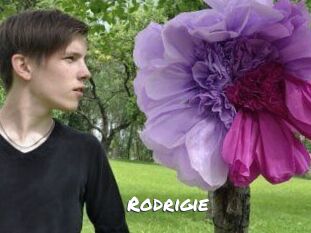Rodrigie