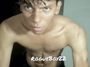 RogueBoy22