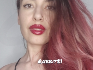 Rabbit51