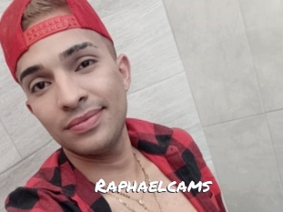 raphaelcams Ochranne Siete