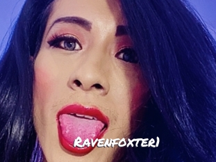 ravenfoxter1 Ochranne Siete
