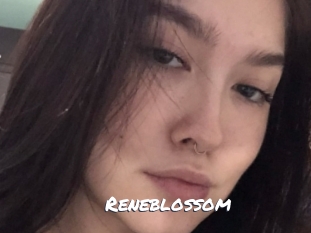Reneblossom