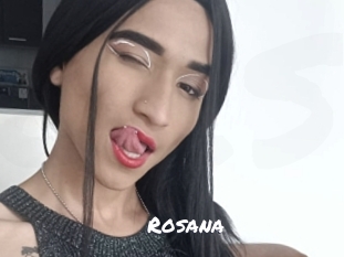rosana Ochranne Siete