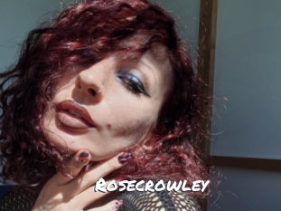rosecrowley Ochranne Siete