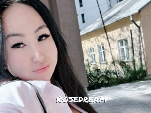 rosedream Ochranne Siete