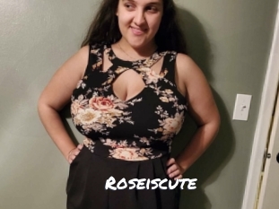Roseiscute
