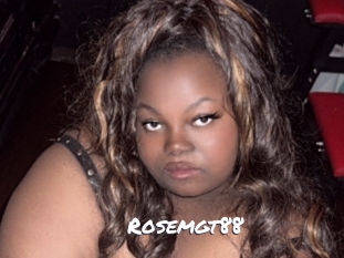rosemgt88 Ochranne Siete